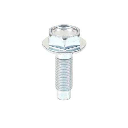 Briggs & Stratton SCREW 698139
